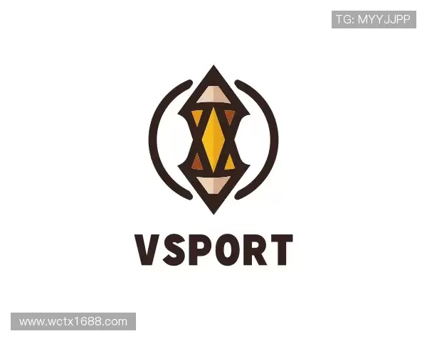 了解VSport