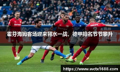 霍芬海姆客场迎来背水一战，德甲排名节节攀升