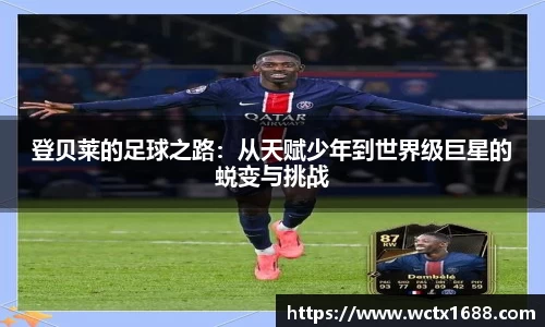 完美体育登录入口